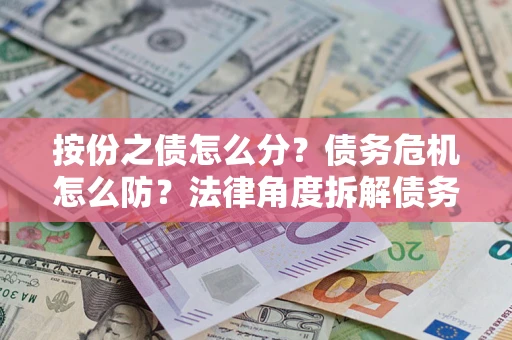 北京按份之债怎么分？债务危机怎么防？法律角度拆解债务分配与风险自保指南