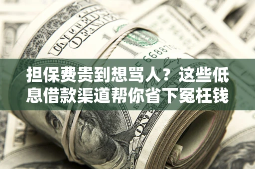 北京担保费贵到想骂人？这些低息借款渠道帮你省下冤枉钱