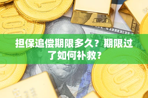 北京担保追偿期限多久？期限过了如何补救？