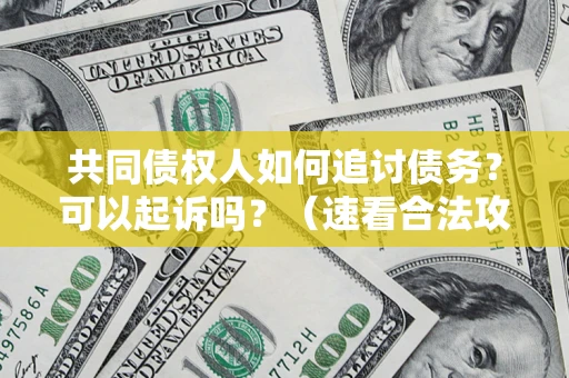 北京共同债权人如何追讨债务？可以起诉吗？（速看合法攻略）